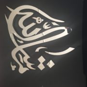 IMG_0389 IMG_0389