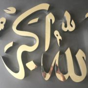 IMG_0500 IMG_0500